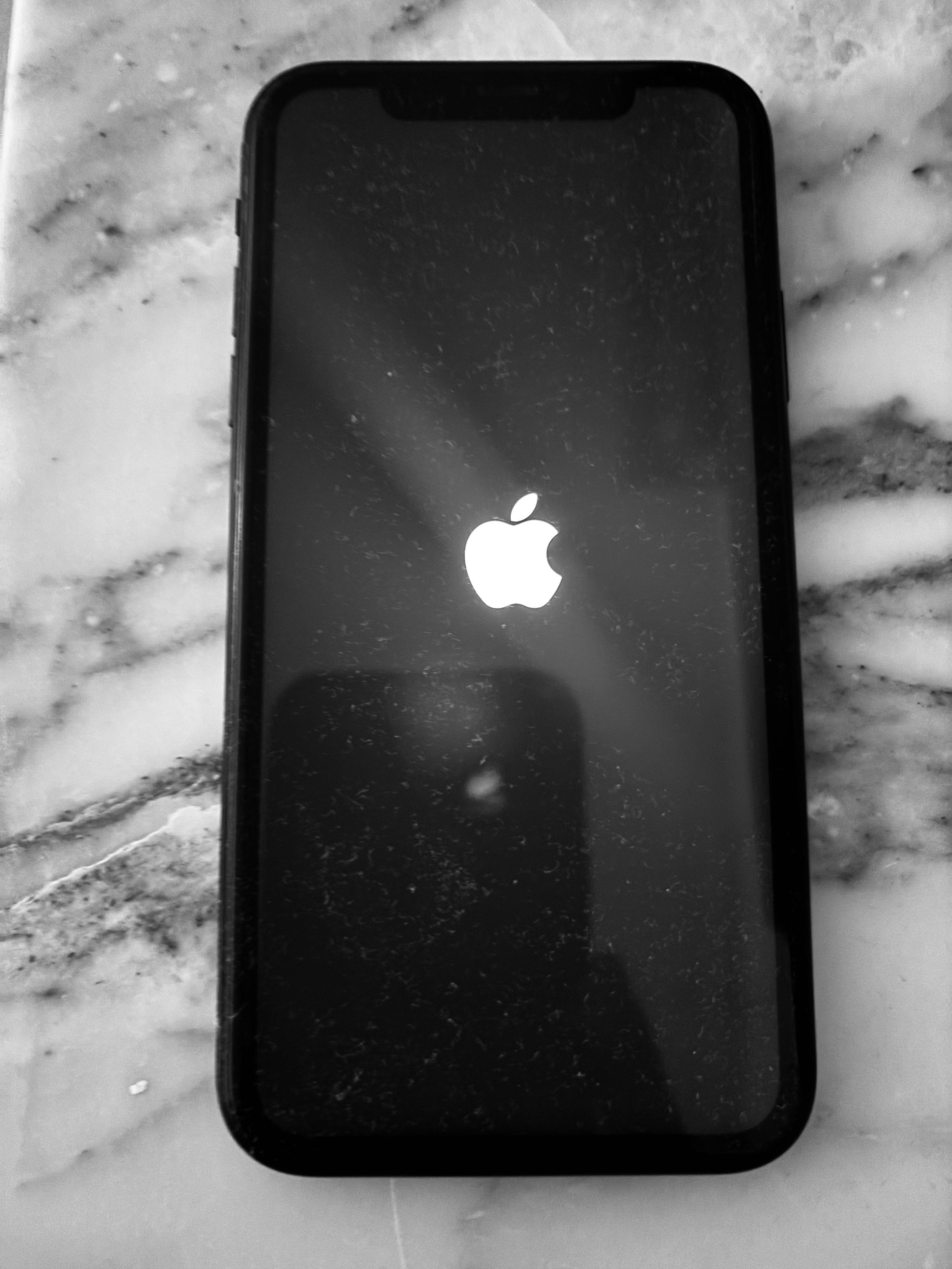 Ariana Ville Ariana Apple - iPhone iPhone XR Iphone xr noir