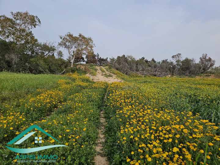 El Haouaria Charaf Vente Surfaces Terrain agricole 5 hectares  chraf el hawaria